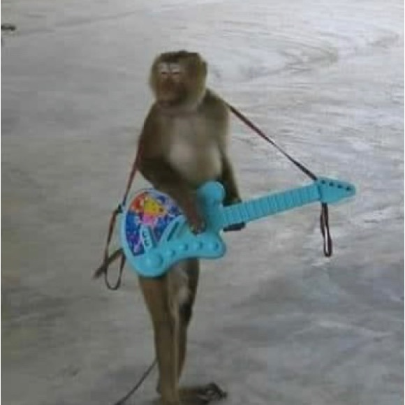 yiselxmonkey